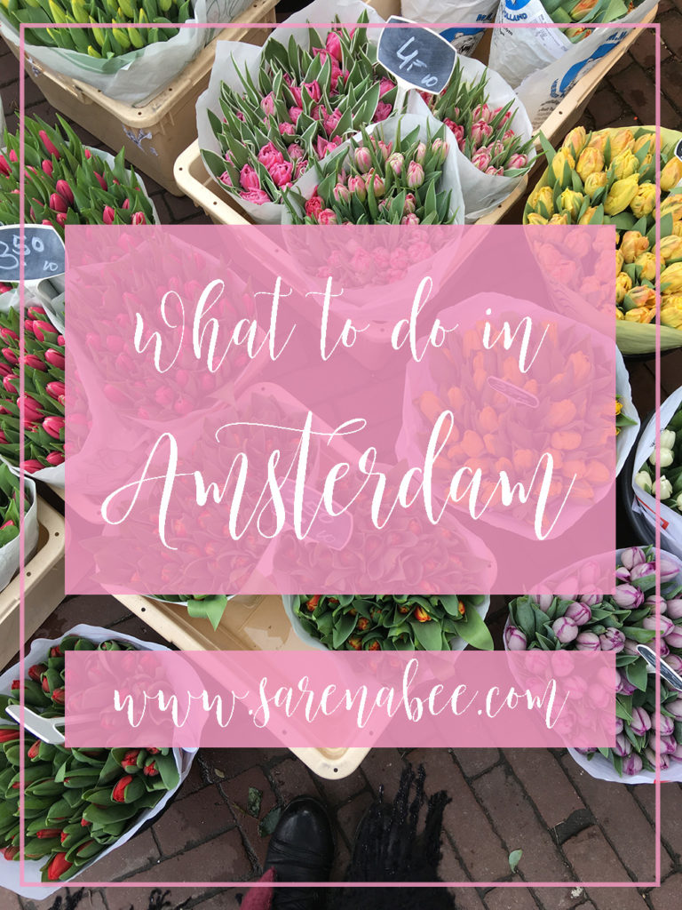 What To Do In Amsterdam Sarenabee Travels